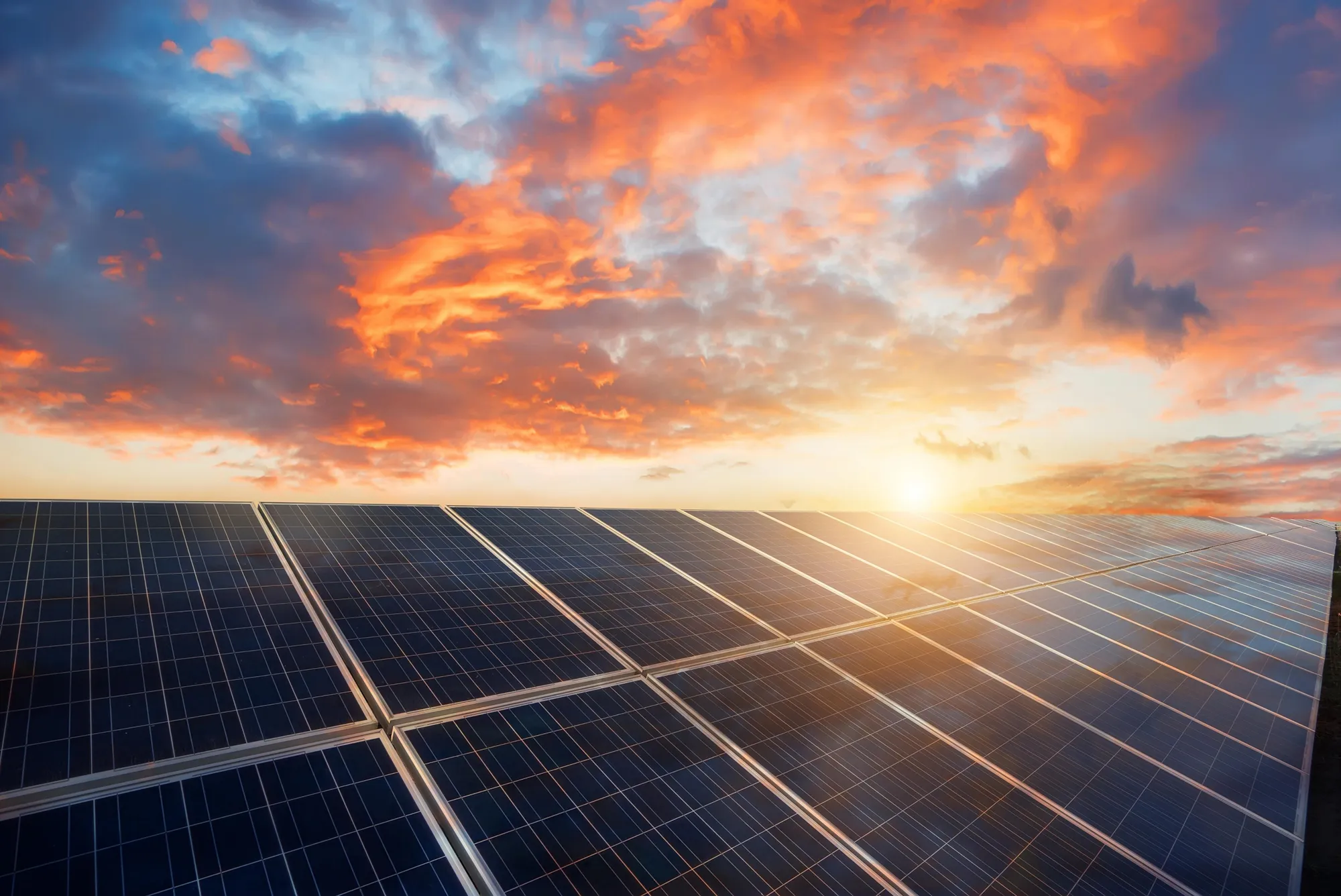 Forecasting & Quantitive Analytics Businesses